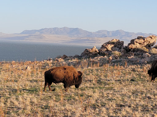 Things to Do Near Salt Lake City